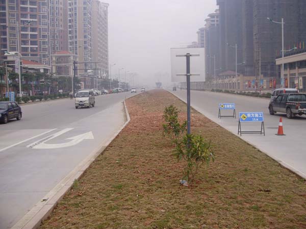 米兰体育网页版坦洲界狮南路